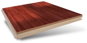 Limpeza de carpete